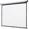 Parrot Pulldown Projector Screen - 1830 x 1830mm